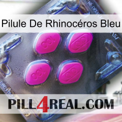 Pilule De Rhinocéros Bleu 02